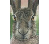 Approx A5 notebook / journal (8.5 x 5.5 inch) with Hare artwork by Sally Sturgess Pet Portraits & Wildlife Art. 100 lined pages. Perfect gift for ... enthusiast or art lover. Supports a UK artist