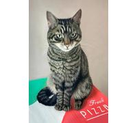 Approx A5 Tabby Cat Diary 2026 Week Per Page with Artwork by Sally Sturgess.: With UK Holidays, Pagan Festivals and Moon Phases. Supports a UK artist