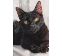 Approx A5 Week Per Page 2026 Diary with Black Cat Artwork by Sally Sturgess.: With US Holidays and important dates. Perfect gift for cat lovers!