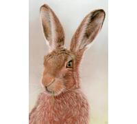 Approx A5 Week Per Page 2026 Diary with Hare Artwork by Sally Sturgess.: With US Holidays and important dates. Perfect gift for hare lovers!