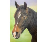 Approx A5 Week Per Page 2026 Horse Diary with Artwork by Sally Sturgess.: With UK Holidays, Pagan Festivals and Moon Phases. Supports a UK artist.