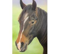 Approx A5 Week Per Page Hard Back 2026 Diary with Horse Artwork by Sally Sturgess.: With UK Holidays, Pagan Festivals and Moon Phases. Supports a UK artist.