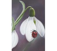 Approx A5 Week Per Page Hard Back 2026 Diary with Ladybird on Snowdrop Artwork by Sally Sturgess.: With UK Holidays, Pagan Festivals and Moon Phases. Supports a UK artist.