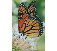 Approx A5 Week Per Page Hard Back 2026 Diary with Monarch Butterfly Artwork by Sally Sturgess.: With UK Holidays, Pagan Festivals and Moon Phases. Supports a UK artist.
