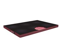 Approx Super Silent Cooler Pad con doppia ventola e porte USB per notebook da 15,4 pollici - Rosso
