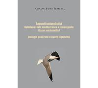 Appunti naturalistici. Gabbiano reale mediterraneo a zampe gialle (Larus michahellis)