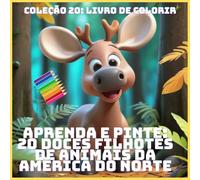 APRENDA E PINTE: 20 DOCES FILHOTES DE ANIMAIS DA AMÉRICA DO NORTE