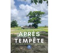 Après la tempête