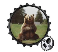 Apribottiglie magnetico per frigorifero, apribottiglie con scritta "Hi Bear" seduto sul prato, forti magneti per frigorifero, apribottiglie per uomini e donne