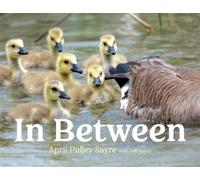 April Pulley Sayre In Between (Copertina rigida)