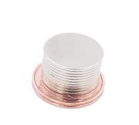 Aprilheld | 10 magneti a dischi 15 x 1 mm | N52 classe più forte - magneti al neodimio extra forti | magnete per bacheca, lavagna, foto, frigorifero, mini disco magnetico