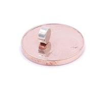 Aprilheld | 100 magneti a dischi 4 x 2 mm | N52 classe più forte - magneti al neodimio extra forti | magnete per bacheca, lavagna, foto, frigorifero, mini disco magnetico