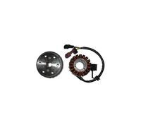Volante Magnetico 18 Poli Trifase (Motore Aprilia Iniezione 4t) Moto Motore