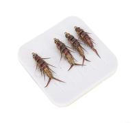 Aprilsunnyzone Stonefly Nymph - Confezione da 5 esche per pesca a mosca, perfette per gli appassionati di trote e spigole