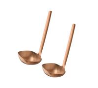 APS 75945 Cucchiaio BULQ, set da 2, acciaio inossidabile, rivestimento in PVD, dimensioni cucchiaio 6,5 x 6,5 cm, lunghezza totale 17,5 cm, rame