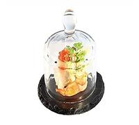 APS gh408 vassoio con campana di vetro, 80 mm, H