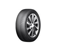 Aptany RC536 215/70 R16 100 H