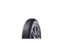 Gomme Invernali 185/70 R14 Aptany 88T RW611 M+S pneumatici nuovi