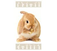 Aptex Asciugamano da bagno con rabbit 70 x 140 cm