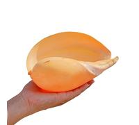 ApuaVireo&Co Conchiglie naturali ideali for acquari, decorazioni for matrimoni, feste a tema spiaggia, decorazioni for la casa fai da te(D)