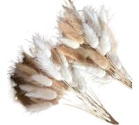 ApuaVireo&Co Decorazione Boho con erba della pampa, fiori secchi a forma di coda di coniglio, confezione da 20-120 pezzi multicolore(Mix,100Pcs)