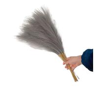 ApuaVireo&Co Erba della Pampa, 10 pezzi, fiori artificiali, soffice erba della Pampa, decorazione, pianta finta, fiore di canna for soggiorno, bouquet, ufficio, tavolo, vaso(F)