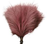 ApuaVireo&Co Erba della Pampa Grande 1/5/10/30 pezzi Erba della Pampa Artificiale Bouquet Matrimonio Natale Vaso Decorazione Giardino Camera da Letto Tavolo Fai da Te(006red Brown,5pcs)