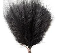 ApuaVireo&Co Erba della Pampa Grande 1/5/10/30 pezzi Erba della Pampa Artificiale Bouquet Matrimonio Natale Vaso Decorazione Giardino Camera da Letto Tavolo Fai da Te(027black,1pcs)
