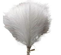 ApuaVireo&Co Erba della Pampa Grande 1/5/10/30 pezzi Erba della Pampa Artificiale Bouquet Matrimonio Natale Vaso Decorazione Giardino Camera da Letto Tavolo Fai da Te(032white,10pcs)