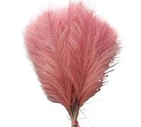 ApuaVireo&Co Erba della Pampa Grande 1/5/10/30 pezzi Erba della Pampa Artificiale Bouquet Matrimonio Natale Vaso Decorazione Giardino Camera da Letto Tavolo Fai da Te(039deep Powder,5pcs)