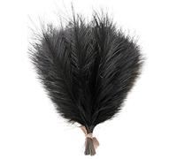 ApuaVireo&Co Erba della Pampa Grande 10 pezzi 14 pollici Erba della Pampa Fiori Artificiali Canna Finta Piuma Fiore Finto Fai da Te Accessori Casa Stanza Matrimonio Decorazione Floreale(Black)