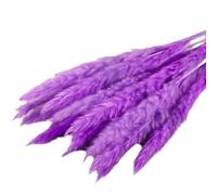 ApuaVireo&Co Erba della Pampa Grande 15 Pezzi di Erba della Pampa Secca Piccola Fiori Artificiali for la Decorazione Piante Vere Decorazione for la Casa Decorazione for Matrimoni(Purple)