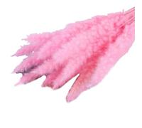 ApuaVireo&Co Erba della Pampa Grande 15 Pezzi di Erba della Pampa Secca Piccola Fiori Artificiali for la Decorazione Piante Vere Decorazione for la Casa Decorazione for Matrimoni(Pink)