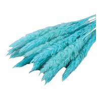 ApuaVireo&Co Erba della Pampa Grande 15 Pezzi di Erba della Pampa Secca Piccola Fiori Artificiali for la Decorazione Piante Vere Decorazione for la Casa Decorazione for Matrimoni(Blue)