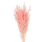 ApuaVireo&Co Erba della Pampa Grande 25/50 Pezzi di Spighe di Grano Essiccate Naturali Fiori Veri Decorazione Erba della Pampa Coda di Coniglio Fiori Decorazione for la Casa(Pink,25pcs)