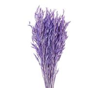 ApuaVireo&Co Erba della Pampa Grande 25/50 Pezzi di Spighe di Grano Essiccate Naturali Fiori Veri Decorazione Erba della Pampa Coda di Coniglio Fiori Decorazione for la Casa(Purple,50pcs)