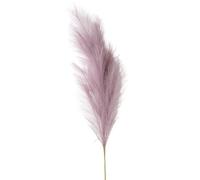 ApuaVireo&Co Erba della Pampa Grande 90/120cm Fiori Artificiali della Pampas Decorativi for la Casa, la Festa, la Tavola, la Decorazione for Matrimoni, Erba di Canna Soffice(Light Purple,90CM)