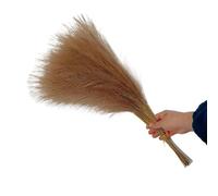 ApuaVireo&Co Erba della Pampa, grande e soffice erba artificiale della Pampa, decorazione floreale, pianta finta, canna simulata, decorazione for la casa, piume(12)