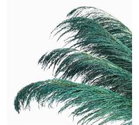 ApuaVireo&Co Erba della Pampa, grande erba della Pampa, alta 80-120 cm, fiore essiccato vintage floreale marrone naturale, pianta grande for bouquet decorativo da soggiorno(80-120cm-01,5PCS)