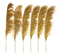 ApuaVireo&Co Erba della Pampa, grande erba della Pampa, alta 80-120 cm, fiore essiccato vintage floreale marrone naturale, pianta grande for bouquet decorativo da soggiorno(80-120cm-06,5PCS)