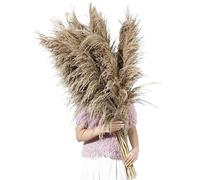ApuaVireo&Co Erba della Pampa, grande erba della Pampa, alta 80-120 cm, fiore essiccato vintage floreale marrone naturale, pianta grande for bouquet decorativo da soggiorno(80-120cm-07,3pcs)