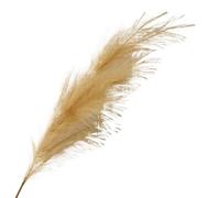 ApuaVireo&Co Erba della pampa grande erba della pampa artificiale alta 100 cm di alta qualità con pompa-pomosa floreale soffice pianta finta, riempitivo per la decorazione della casa (n. 011, 1 pezzo