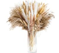 ApuaVireo&Co Erba della pampa Grande Naturale Pampa Coda di Coniglio Secca Bouquet di fiori secchi Decorazione per feste di nozze Limonio Fresco Erba Decorazione Vaso per la casa (Ac-446-105 pz)