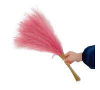 ApuaVireo&Co Pampas Grass Grande 10 pz Fiori Artificiali Colorati Bouquet Creativo di Pampas Simulata Bellissima Erba Finta Soffice(Pink)
