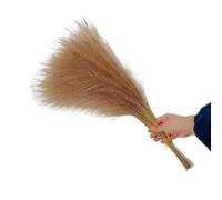 ApuaVireo&Co Pampas Grass Grande 10 pz Fiori Artificiali Colorati Bouquet Creativo di Pampas Simulata Bellissima Erba Finta Soffice(Brown)