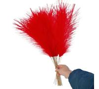 ApuaVireo&Co Pampas Grass Grande 10 pz Fiori Artificiali Colorati Bouquet Creativo di Pampas Simulata Bellissima Erba Finta Soffice(Red)