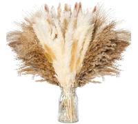 ApuaVireo&Co Pampas Grass Grande 110 pezzi Bouquet di fiori secchi veri Pampa Reed Piccola coda di coniglio Erba Decorazione for la casa Mix And Match