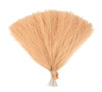 ApuaVireo&Co Pampas Grass Grande 15/30 pezzi Artificiale Pampas Grass Bouquet Pianta Finta Fiori Secchi Simulati Canna Decorazione for Feste di Nozze for Casa Camera da Letto Vaso(F06,30pcs)