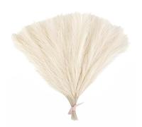 ApuaVireo&Co Pampas Grass Grande 15/30 pezzi Artificiale Pampas Grass Bouquet Pianta Finta Fiori Secchi Simulati Canna Decorazione for Feste di Nozze for Casa Camera da Letto Vaso(F03,15pcs)
