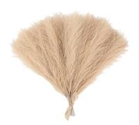ApuaVireo&Co Pampas Grass Grande 15/30 pezzi Artificiale Pampas Grass Bouquet Pianta Finta Fiori Secchi Simulati Canna Decorazione for Feste di Nozze for Casa Camera da Letto Vaso(F04,30pcs)